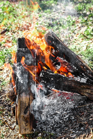 the bright campfire on nature in summerの写真素材