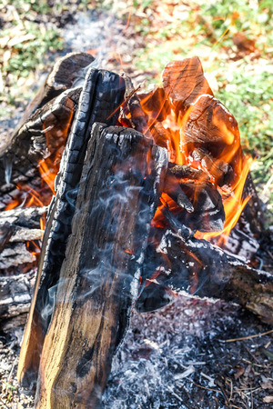the bright campfire on nature in summerの写真素材