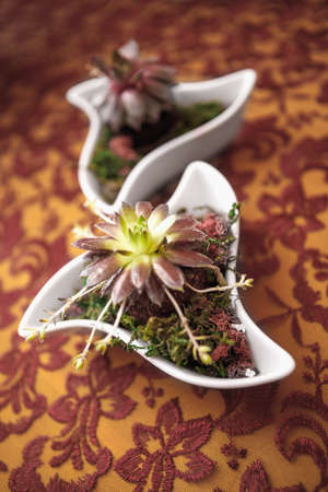 the Boquet of flowers on arranged tableの写真素材