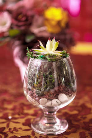 the Boquet of flowers on arranged tableの写真素材