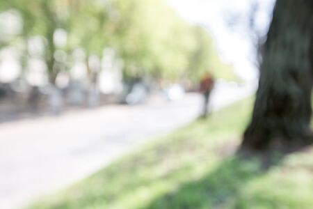 Blurred park background. blurry green grass. spring day. bokehの写真素材