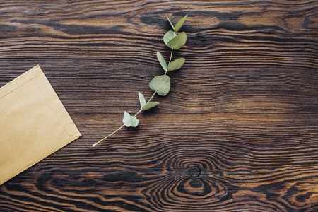 eucalyptus and craft envelope on wood background, top view. Place for textの写真素材