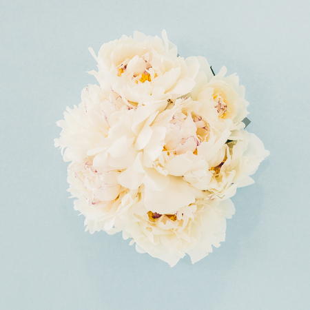 bouquet of white peonies on a blue backgroundの写真素材