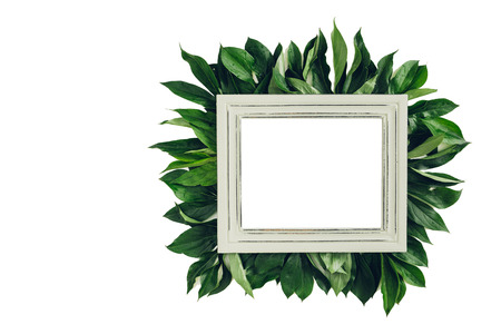 Pastel wooden frame decorated with green leaves, space for text. mock upの写真素材