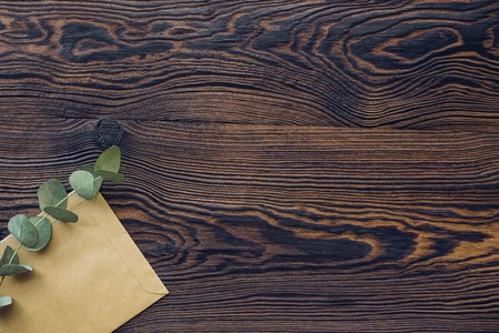 eucalyptus and craft envelope on wood background, top view. Place for textの写真素材