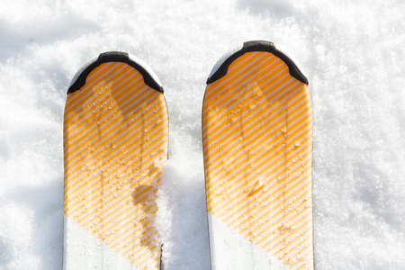 ski in the snowの写真素材