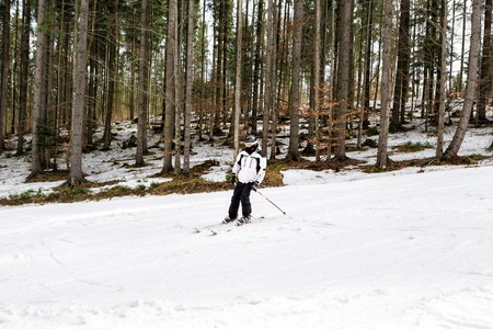 skier is skiing down the slope in the woodsの写真素材
