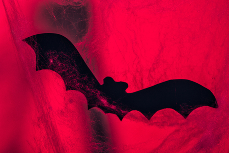 bat and cobwebs. halloweenの写真素材