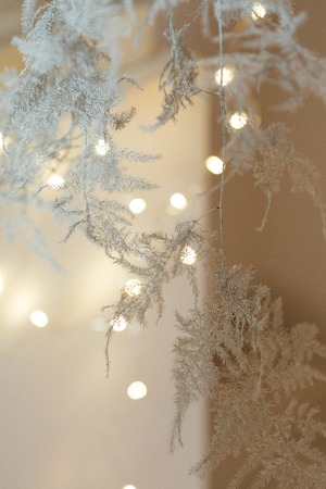 blurred bokeh backgroundの写真素材