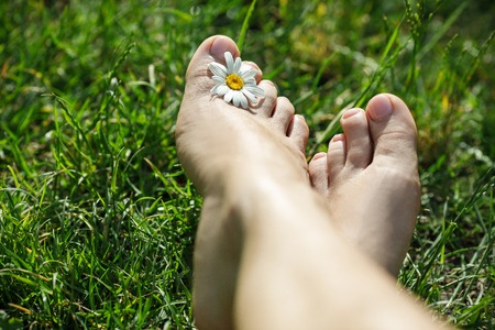bare feet with daisy on green grass