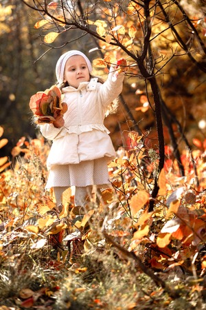 baby girl pick up a bouquet of yellow leaves on autumn dayの写真素材
