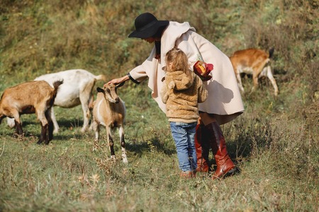mother walks with little daughter near a herd of goats in autumnの写真素材