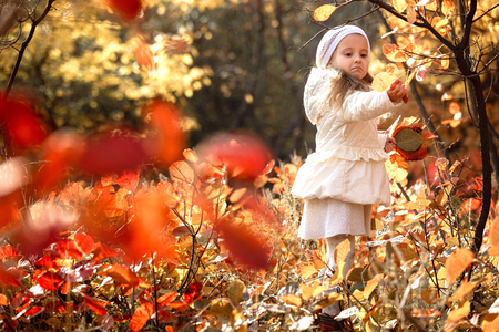 baby girl pick up a bouquet of yellow leaves on autumn dayの写真素材