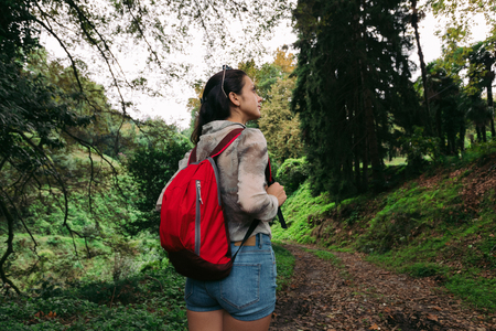 Traveler woman with backpack walking in the forestの写真素材