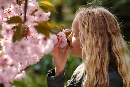 portrait of a beautiful little child girl with sakura flowers on a sunny spring dayの写真素材