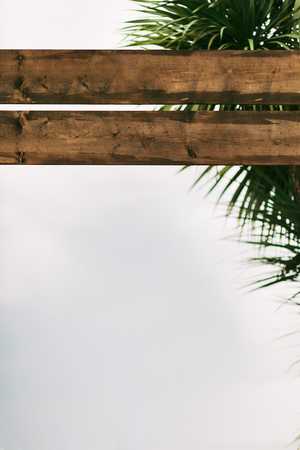 Wooden desk boards near the palm tree against the skyの写真素材