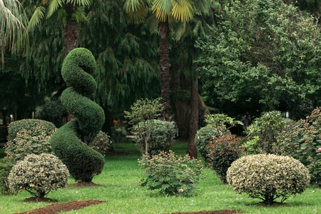 beautiful park landscape design. space with grass, flower and bushesの写真素材