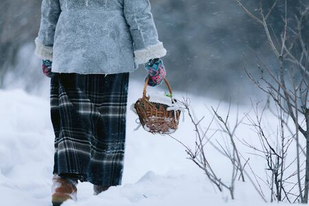 little child girl with basket goes and looks for the first flowers under the snow in the forest in the winter evening. frame as illustration to the fairy tale 12 monthsの写真素材