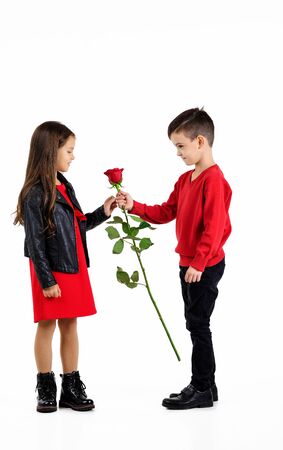 little boy in a red sweater giving a red rose to fashionable child girl in dress isolated on white backgroundの写真素材
