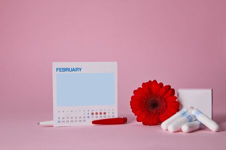 menstrual sanitary tampons, box for tampons and red flower on pink background. , feminine calendar with copy space. Feminine hygiene productsの写真素材