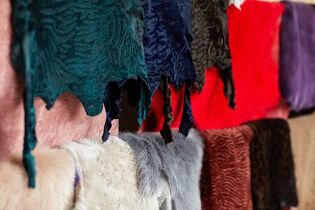 different types of multicolored fur skins. Warehouse of fur.の写真素材