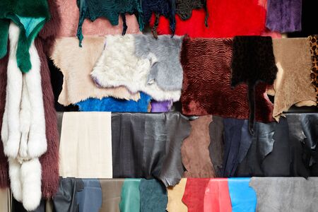 different types of multicolored fur skins. Warehouse of fur.の写真素材