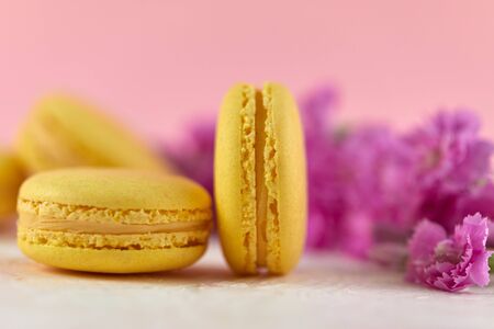 delicate yellow macarons dessert with pink flowers on pink background, close-upの写真素材