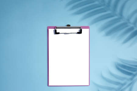 blank empty clipboard with palm shadows on blue background. mockupの写真素材