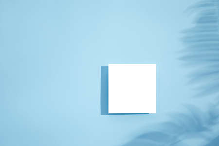 White empty blank card mockup with floral shadows on blue background. top view. Leaf shadows