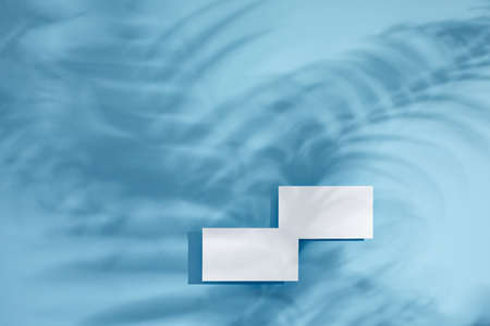 White empty blank business cards mockup with floral shadows on blue background. top view. Leaf...