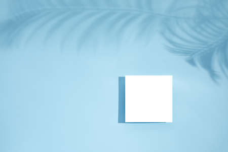 White empty blank card mockup with floral shadows on blue background. top view. Leaf shadows