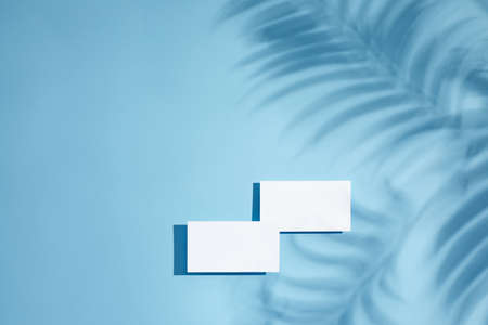 White empty blank business cards mockup with palm shadows on blue background. top view. stylish greeting card or wedding invitationの写真素材