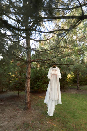 wedding dress hanging on tree in the forest. vintage or rusticの写真素材