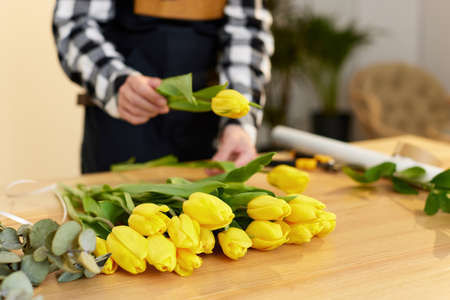 Florist woman makes a bouquet of fresh yellow tulips.の写真素材