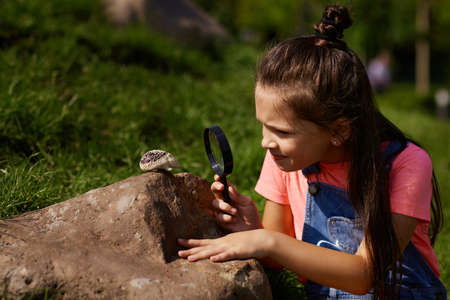 little kids look at hedgehog using magnifierの写真素材