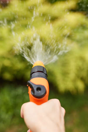 woman watering plant in garden in summerの写真素材