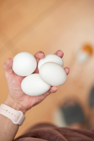 broken egg and feet on the floor in kitchen, top viewの写真素材
