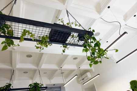 flower pots with green plants hanging from the ceiling