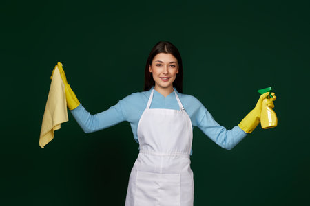 woman in cleaner apron wieaning rag and detergent sprayerの写真素材