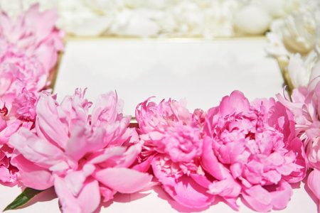 Beautiful frame with floral pions background. Free space for your design, mockupの写真素材
