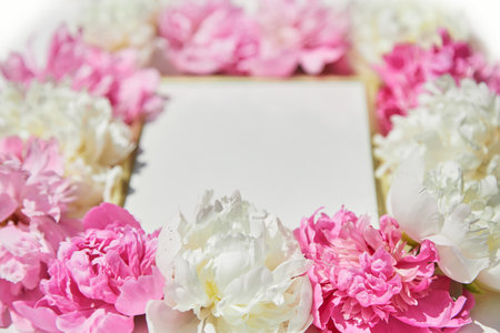 Beautiful frame with floral pions background. Free space for your design, mockupの写真素材