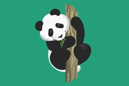 panda hugs tree and chews leavesのイラスト素材