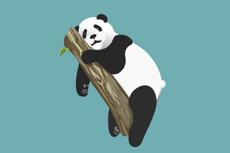 sleeping panda hugs a treeのイラスト素材