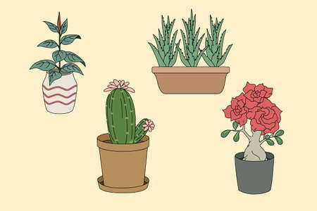 Collection of potted houseplants. vector illustrationのイラスト素材