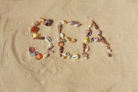 Word "sea" made of seashells on beach sandの写真素材