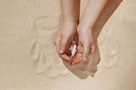 Sea  shell inside kids hands, health care conceptの写真素材