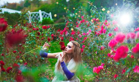 Wedding in Halloween concept, bride in short dress and witch hat in autumn park.の写真素材