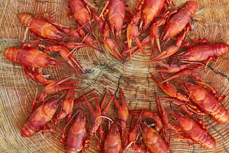 Crawfish cooked and served on wooden backgroundの写真素材