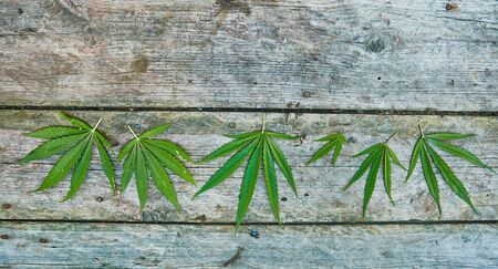 Pattern made of marijuana leaves on wooden backgroundの写真素材