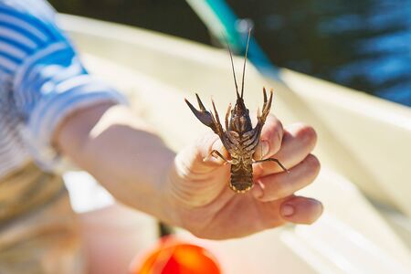 Process of cacthing  crawfish  and tackle in sweet water mountain lakeの写真素材